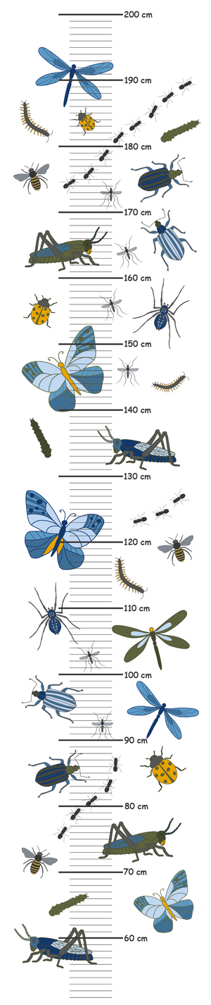 Groeimeter insecten