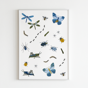 Poster insecten